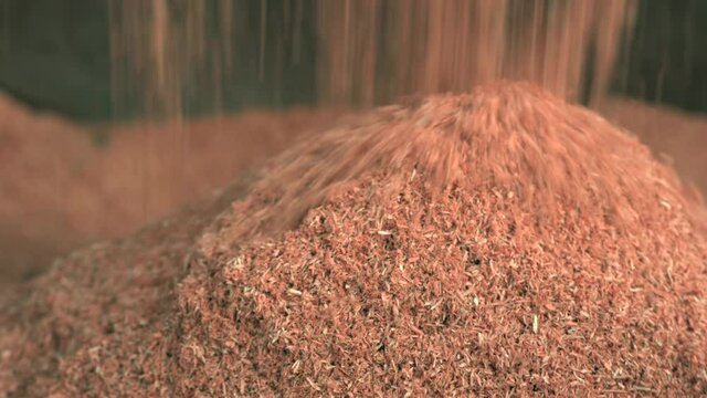 Wood sawdust is removed with a dustpan. Fresh, dry pine and pine sawdust piled in a heap. Wood waste after wood production at the sawmill. Mulch.