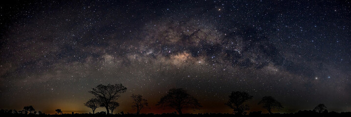 Panorama silhouette tree in africa with stars.Typical african dark night with acacia trees in Masai Mara, Kenya.Space background with noise and grain. - Powered by Adobe