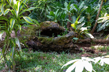 Obraz premium IMG_0290