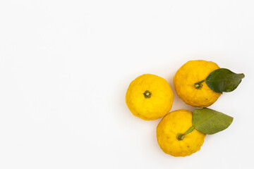 国産ゆず Citron fruit