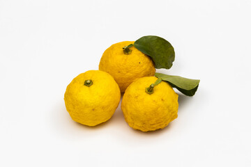 国産ゆず Citron fruit