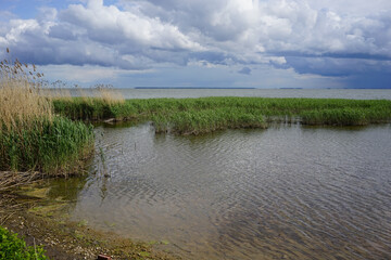 The estuary at the Curonian spit in the Kaliningrad region