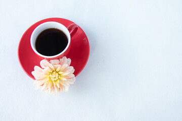 ダリアの花と赤いコーヒーカップに入れたコーヒー