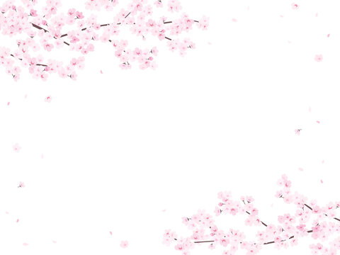 4 581 件の最適な 桜背景横 画像 ストック写真 ベクター Adobe Stock