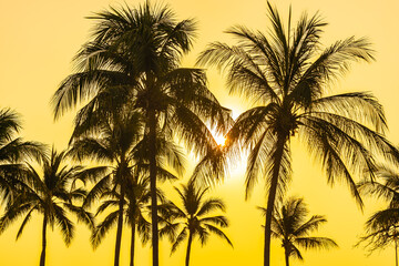 Fototapeta na wymiar Beautiful coconut palm tree with sky at sunset or sunrise