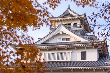 滋賀県の長浜市にある長浜城を秋の紅葉時期に撮影したものです。