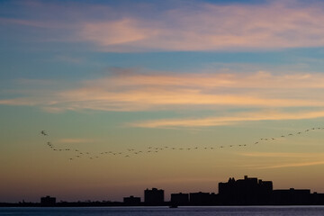 Fototapeta premium Cityscape of Clearwater Florida at sunset