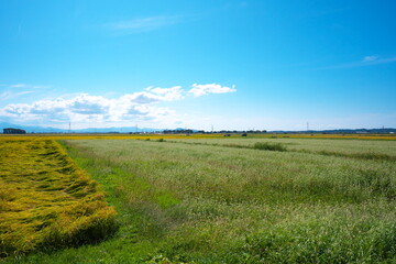 Obraz premium Beautiful countryside of Japan on a sunny day