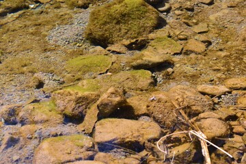 view of water with stones or rocks in river