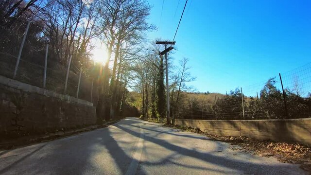 Countryside POV drive, beautiful nature with lush woodland, bare trees, creeper plants and curvy asphalt road, sunny day shining sun clear blue sky, car travel gopro point of view