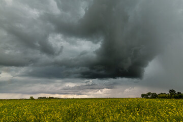 Beautiful rural fields in spring, under dramatic stormy sky