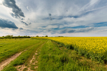 Beautiful rural fields in spring, under dramatic stormy sky