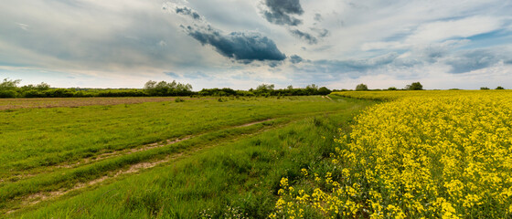 Beautiful rural fields in spring, under dramatic stormy sky