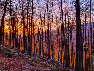 Autumn landscape, with beautiful lights and colors in the mountains