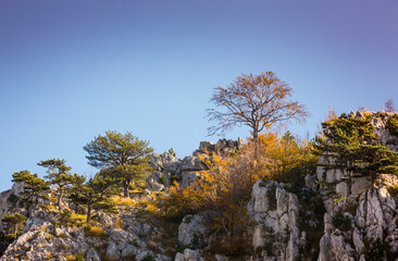 Autumn landscape, with beautiful lights and colors in the mountains