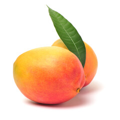 Mango on a white background