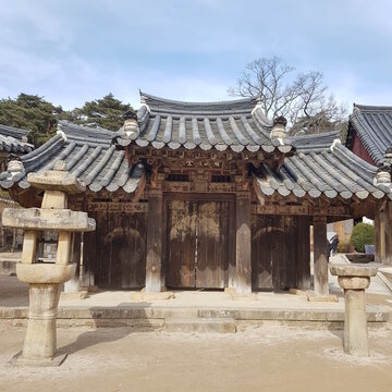양산 통도사 홍매화