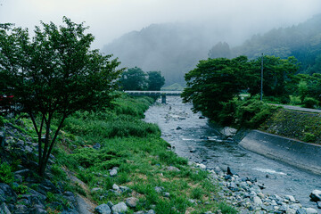 山梨県道志村。日本の清流。きれいな川が流れている。霧が出ている。