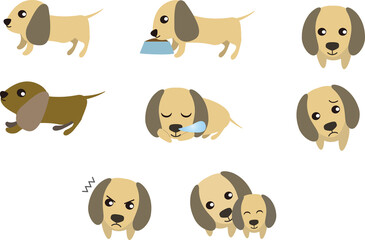 可愛いミニチュアダックスフンド表情・ポーズセット