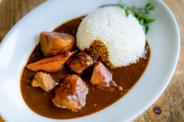 具が大きいカレー。日本の一般的な料理。