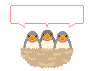 つばめ6　ツバメ　燕