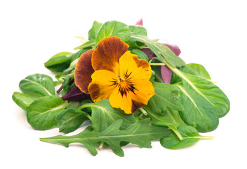 mix salad with arugula spinach salad red and edible flowers on a white background