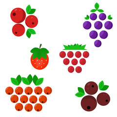 berry set, plant collection, red cranberry,blackcurrant and orange rowan, ripe raspberries, strawberry harvest, grapevine menu