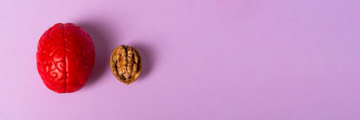 Walnut and red brain. The human brain is shaped like a walnut kernel. It symbolizes the brain's similarity to walnuts and its proven effectiveness as a nutrient