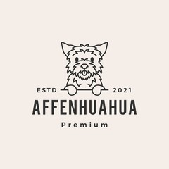 Fototapeta premium affenhuahua dog hipster vintage logo vector icon illustration