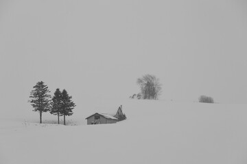 snow covered house
