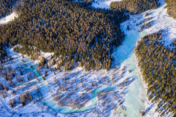 Aerial view of confluence of Multa and Krepkaya rivers on sunny winter day. Altai Republic, Russia.