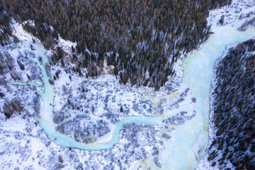 Aerial view of confluence Multa and Krepkaya rivers in winter. Altai Republic, Russia.