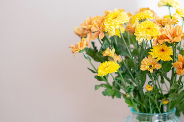 Yellow spring chrysanthemums bouquet flowers in the glass vase