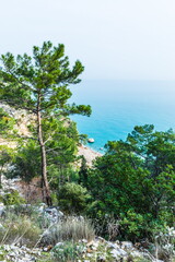 Fototapeta premium Trees in the background of a seascape on the Antalya Mediterranean coast near Beldibi, Turkey