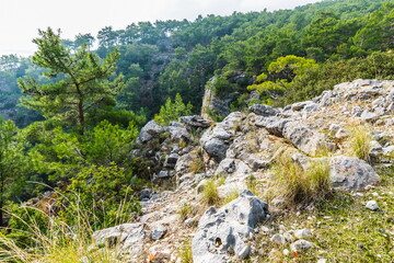 Fototapeta na wymiar mountain path against the backdrop of a seascape on the Mediterranean coast of Antalya near Beldibi, Turkey