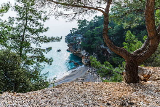 
the edge of a forested mountain on the Mediterranean coast in Antalya near Beldibi, Turkey