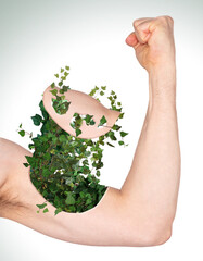 Male arm shows biceps, ivy growing out of arm - Concept of green energy