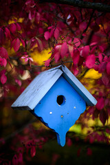 Fototapeta na wymiar Vintage Blue Bird House Autumn Red Leaves