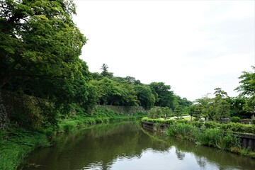 Fototapeta na wymiar Moat, broad ditch at Hikone castle in Shiga Prefecture, Japan - 彦根城 お堀 城壁 日本 滋賀