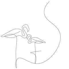 Flamingo bird on white background, vector illustration