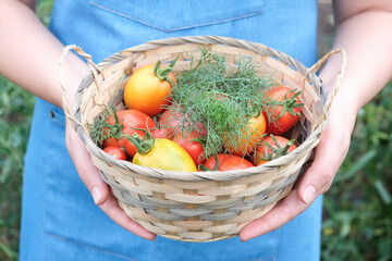 Young woman holds a bowl of organic vegetables