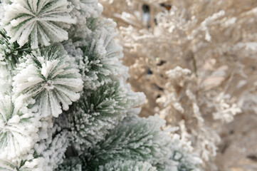 Beautiful Christmas pine in the snow on spring background
