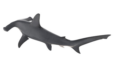 Hammerhead Shark Isolated - obrazy, fototapety, plakaty