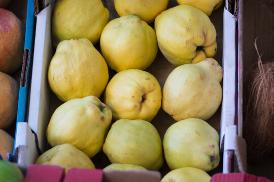 Quince fruits (Cydonia oblonga) presented for sale in a carton box at the market, Tel Aviv, Israel