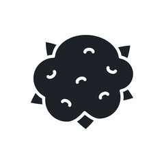 Cauliflower icon. Black isolated silhouette. Fill solid icon. Modern design. Vector illustration. Vegetables.