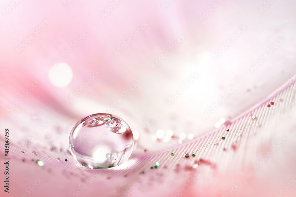 Poster transparent drop of water on pink feather with sparkles and in rays of bright light close-up macro. 
