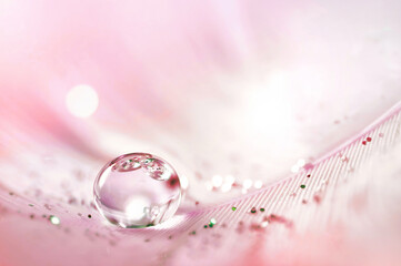 Transparent drop of water on pink feather  with sparkles and in rays of bright light close-up macro. Glamorous sophisticated airy artistic image on a soft blurred background.