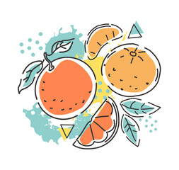 Orange and tangerine on an abstract background. Packaging design. Vector hand illustration.