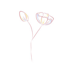Abstract flower doodle clip art isolated on white background. Pink, yellow and light blue poppy illustration. Botanical design element for wedding, postcards, cards, invitations and decorating.