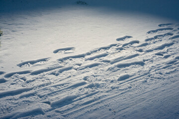Spotlight on footsteps in the snow